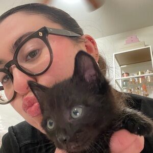 Meet your Posher, Shelby